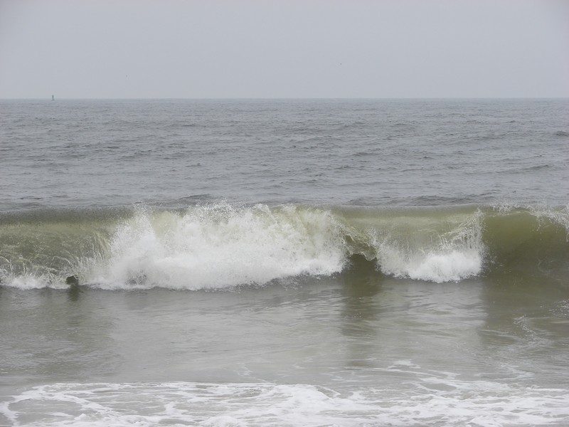 Half Moon Bay 022.jpg